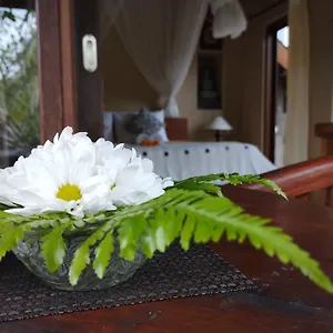 Bed & Breakfast Umah Ubud (Bali)